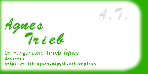 agnes trieb business card